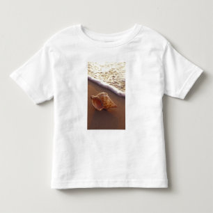 Camiseta Infantil EUA, Havaí, Maui, Kihei, Luz da noite em