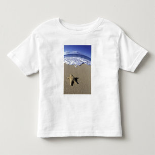 Camiseta Infantil EUA, Havaí, Maui, Praia de Makena, Estrela-do-mar