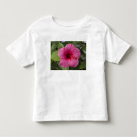 EUA, Havaí, Oahu. O Hibisco é o 2