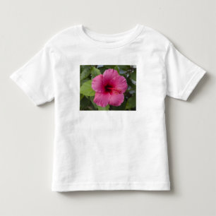 Camiseta Infantil EUA, Havaí, Oahu. O Hibisco é o 2