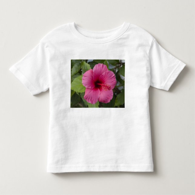 Camiseta Infantil EUA, Havaí, Oahu. O Hibiscus é o 2 (Frente)