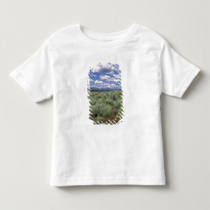 Camiseta Infantil EUA, Idaho, Condado de Camas. Artemísia e lupino