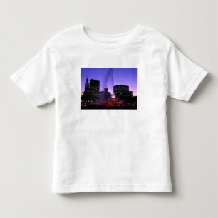 Camiseta Infantil EUA, IL, Chicago. Fonte Buckingham em Grant