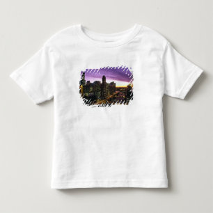Camiseta Infantil EUA, IL, Chicago. Linha do horizonte e rio de Chic