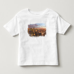 Camiseta Infantil EUA, Illinois, Chicago: Vista da Noite do Loop