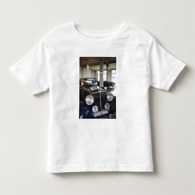 Camiseta Infantil EUA, Indiana, castanho-aloirado: (Frente)