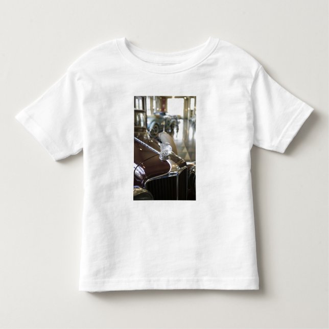 Camiseta Infantil EUA, Indiana, castanho-aloirado: (Frente)