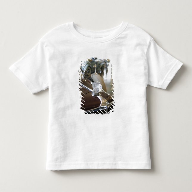 Camiseta Infantil EUA, Indiana, castanho-aloirado: (Frente)