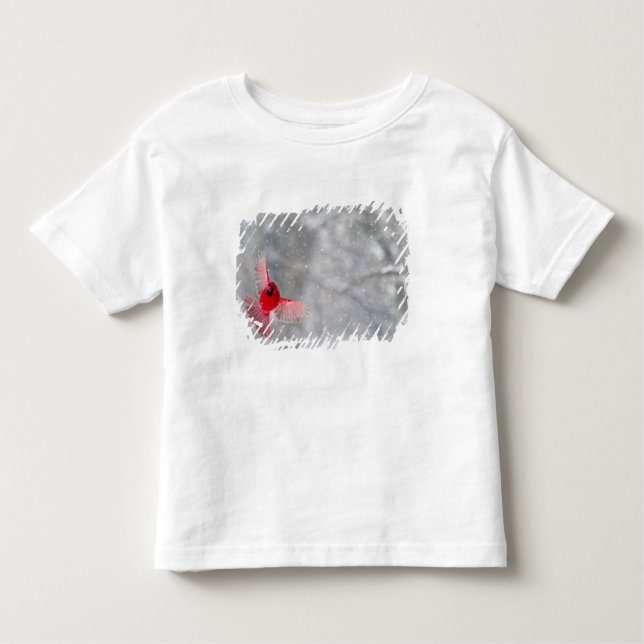Camiseta Infantil EUA, Indiana, Indianápolis. Cardeal masculino (Frente)