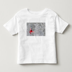 Camiseta Infantil EUA, Indiana, Indianapolis. Um cardeal macho