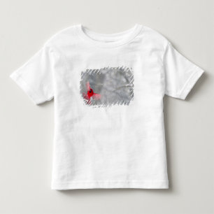 Camiseta Infantil EUA, Indiana, Indianapolis. Um cardinal masculino