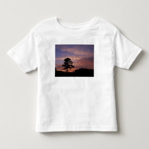 Camiseta Infantil EUA, Kentucky, Cumberland Gap National