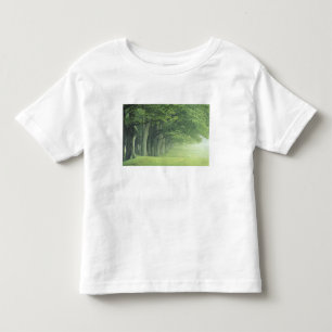 Camiseta Infantil EUA, Kentucky. Linha de árvores em primavera