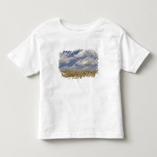 Camiseta Infantil EUA, Kentucky, Louisville. Cultura de trigo e