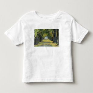 Camiseta Infantil EUA, Kentucky, Louisville. Estrada arborizada em