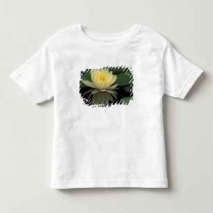 Camiseta Infantil EUA, Kentucky, Louisville Nenúfar doméstico,