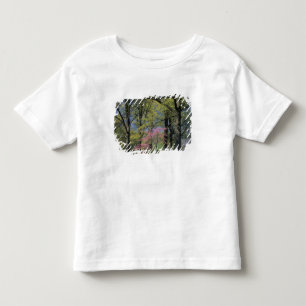 Camiseta Infantil EUA, Kentucky, Louisville. Redbud Oriental