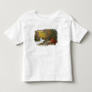 Camiseta Infantil EUA, Maine, Camden. Estrada que passa por Camden