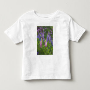 Camiseta Infantil EUA, Maine, Southwest Harbor. Tainho em flor