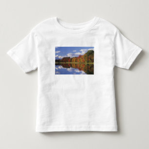 Camiseta Infantil EUA, Massachusetts, Acton. Reflexo do outono