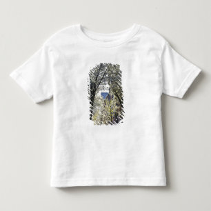 Camiseta Infantil EUA, Massachusetts, Boston, Beacon Hill.
