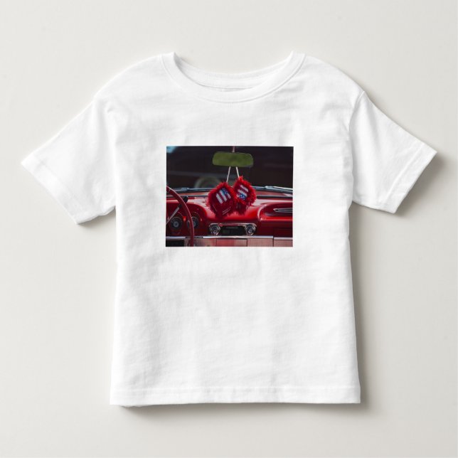 Camiseta Infantil EUA, Massachusetts, Gloucester. Dados distorcido (Frente)