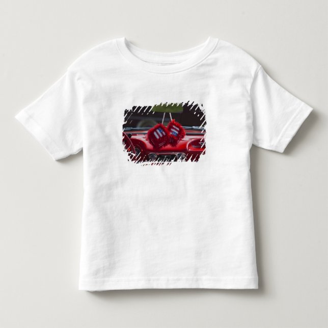Camiseta Infantil EUA, Massachusetts, Gloucester. Dados fofos com (Frente)