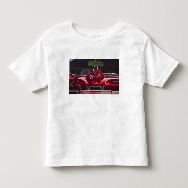 Camiseta Infantil EUA, Massachusetts, Gloucester. Dados fofos com (Frente)