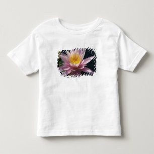 Camiseta Infantil EUA, Massachusetts, Great Barrington, folha de lír