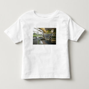 Camiseta Infantil EUA, Michigan, Auburn Hills: Walter P. Crysler