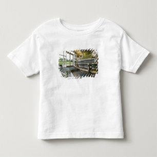 Camiseta Infantil EUA, Michigan, Auburn Hills: Walter P. Crysler