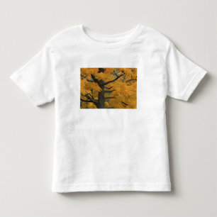 Camiseta Infantil EUA, Michigan, Close-up de árvore de bordo sacarin