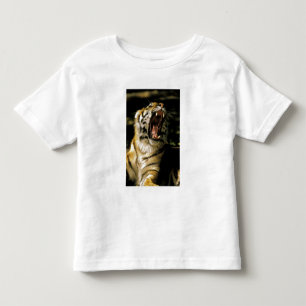 Camiseta Infantil EUA, Michigan, Detroit. Zoológico de Detroit, tigr