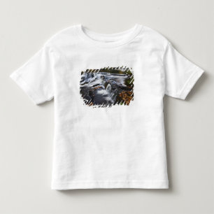 Camiseta Infantil EUA, Michigan, Península Superior. Bond Falls e