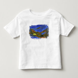 Camiseta Infantil EUA, Michigan, Península Superior, folha de páss