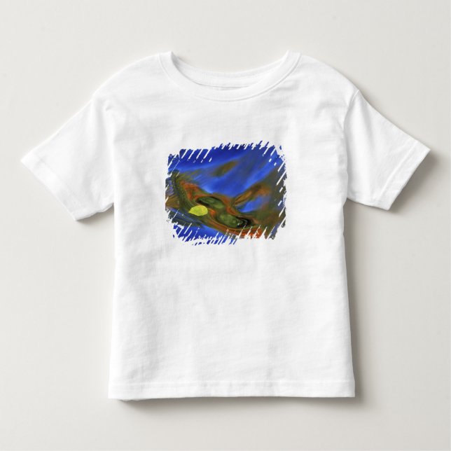 Camiseta Infantil EUA, Michigan, Península Superior, folha de pássar (Frente)