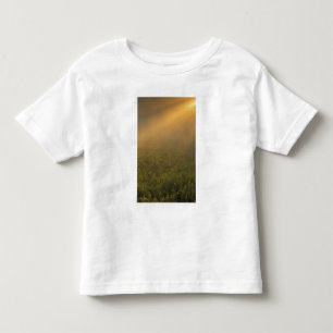 Camiseta Infantil EUA, Michigan, Prado de plantas de vara-de-ouro