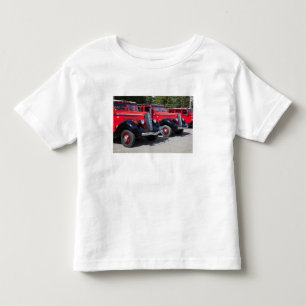 Camiseta Infantil EUA, Montana, East Glacier Park, porta de entrada