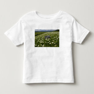 Camiseta Infantil EUA, Montana, Wild Daisy florescendo em campo por