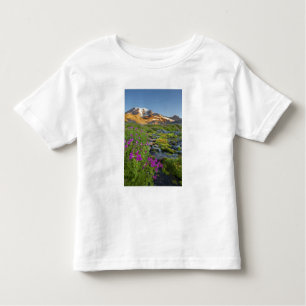 Camiseta Infantil EUA, Mt. Rainier National Park, Washington.