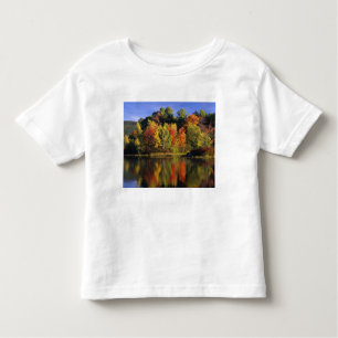 Camiseta Infantil EUA, New Hampshire, Moultonborough. Árvores em