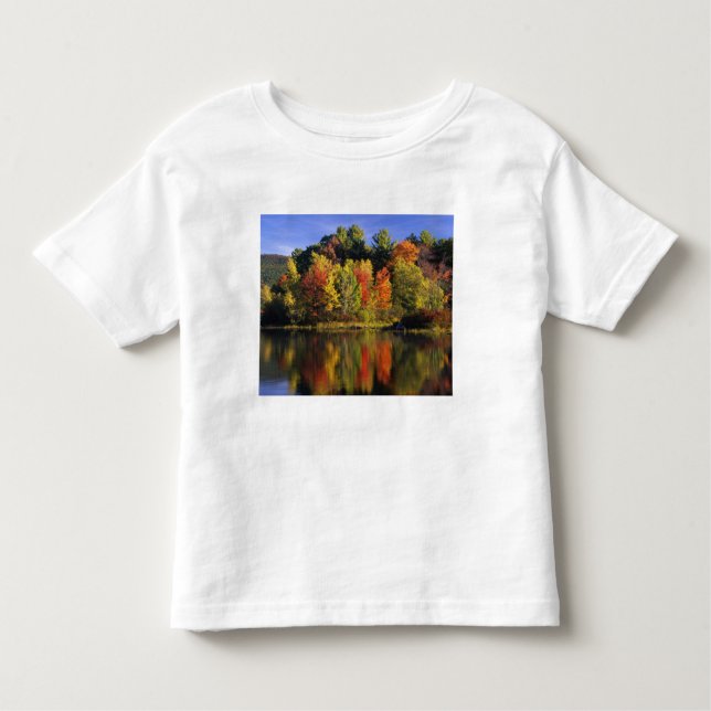 Camiseta Infantil EUA, New Hampshire, Moultonborough. Árvores em (Frente)