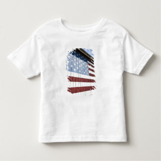 Camiseta Infantil EUA, New York, Long Island, o Hamptons.