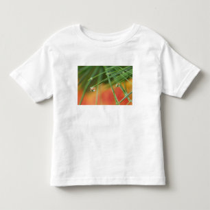 Camiseta Infantil EUA, Nordeste, Agulhas de pinheiro com gotas de