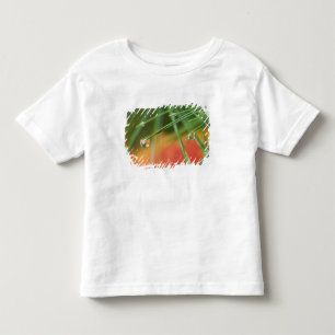 Camiseta Infantil EUA, Nordeste, Agulhas de pinheiro com gotas de