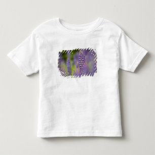 Camiseta Infantil EUA, nordeste de Minnesota, perto de Silver Bay,