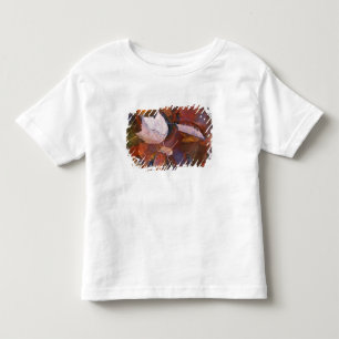 Camiseta Infantil EUA, Nordeste, Folhas de outono em poça com