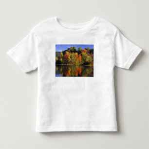 Camiseta Infantil EUA, Nova Hampshire, Moultonborough. Árvores em