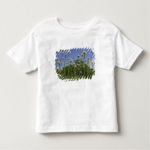 Camiseta Infantil EUA, Nova Inglaterra, Massachusetts, Boston, 3