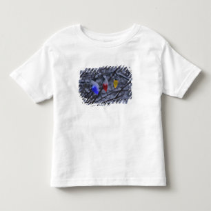Camiseta Infantil EUA, Nova Inglaterra, Massachusetts, leitura, 2